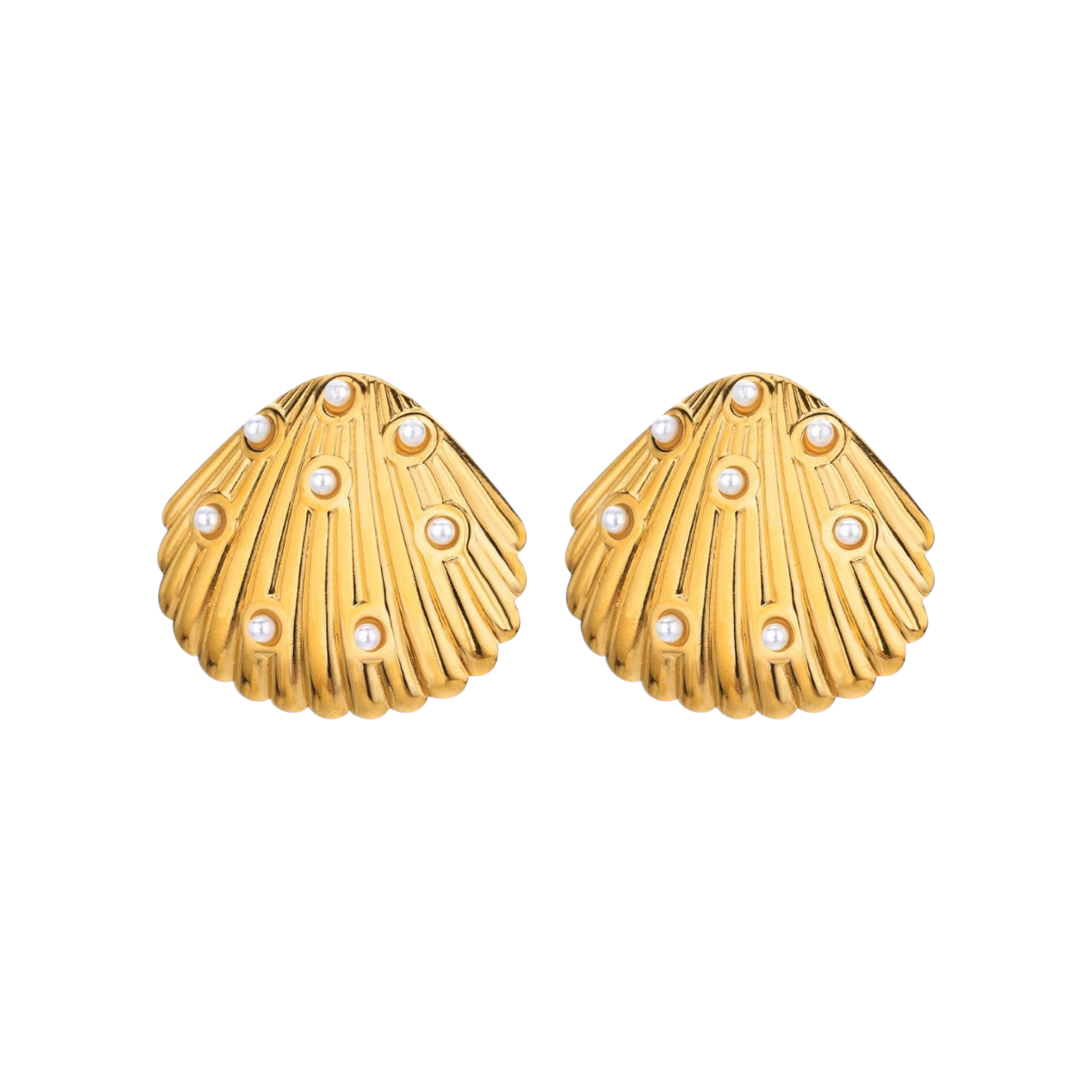 Seashell Earrings