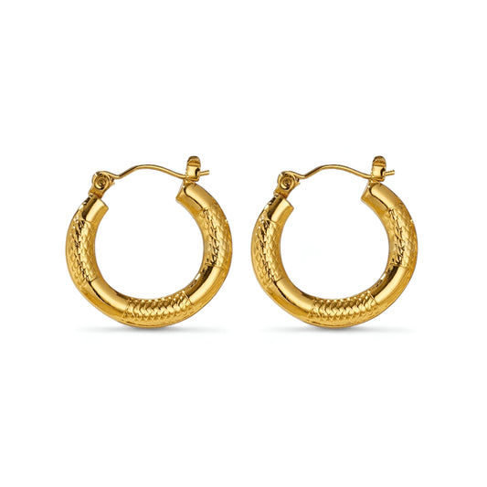 Python Hoops